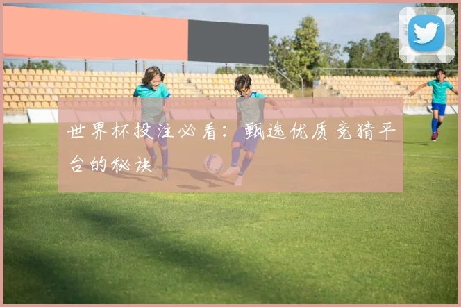 世界杯投注必看：甄选优质竞猜平台的秘诀